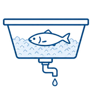 Stainless ice display table in section with a drained basin and fish laid on ice